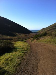 184737_10151225785732286_1670144013_n