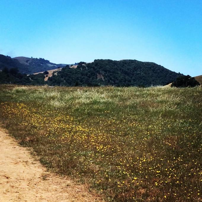 13227626_10153593182477286_8243213380518012620_o